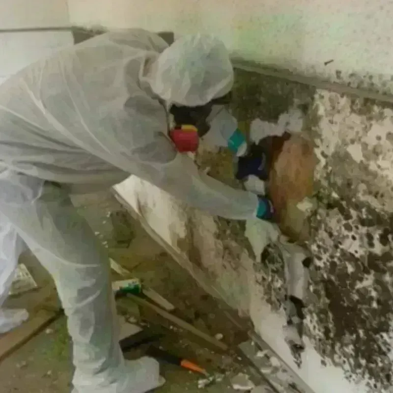 Mold Remediation and Removal in Hugoton, KS